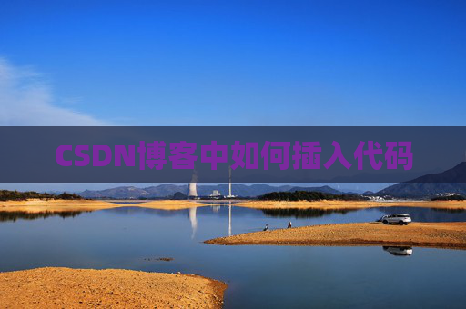 CSDN博客中如何插入代码